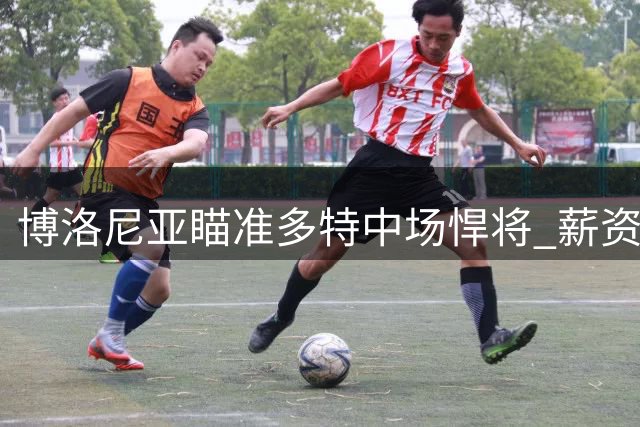 博洛尼亚瞄准多特中场悍将 薪资难题或致转会搁浅