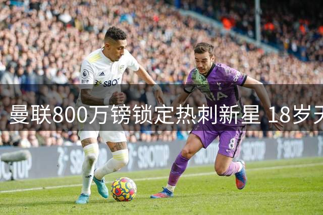曼联800万镑锁定热刺新星 18岁天才边锋转投红魔内幕曝光